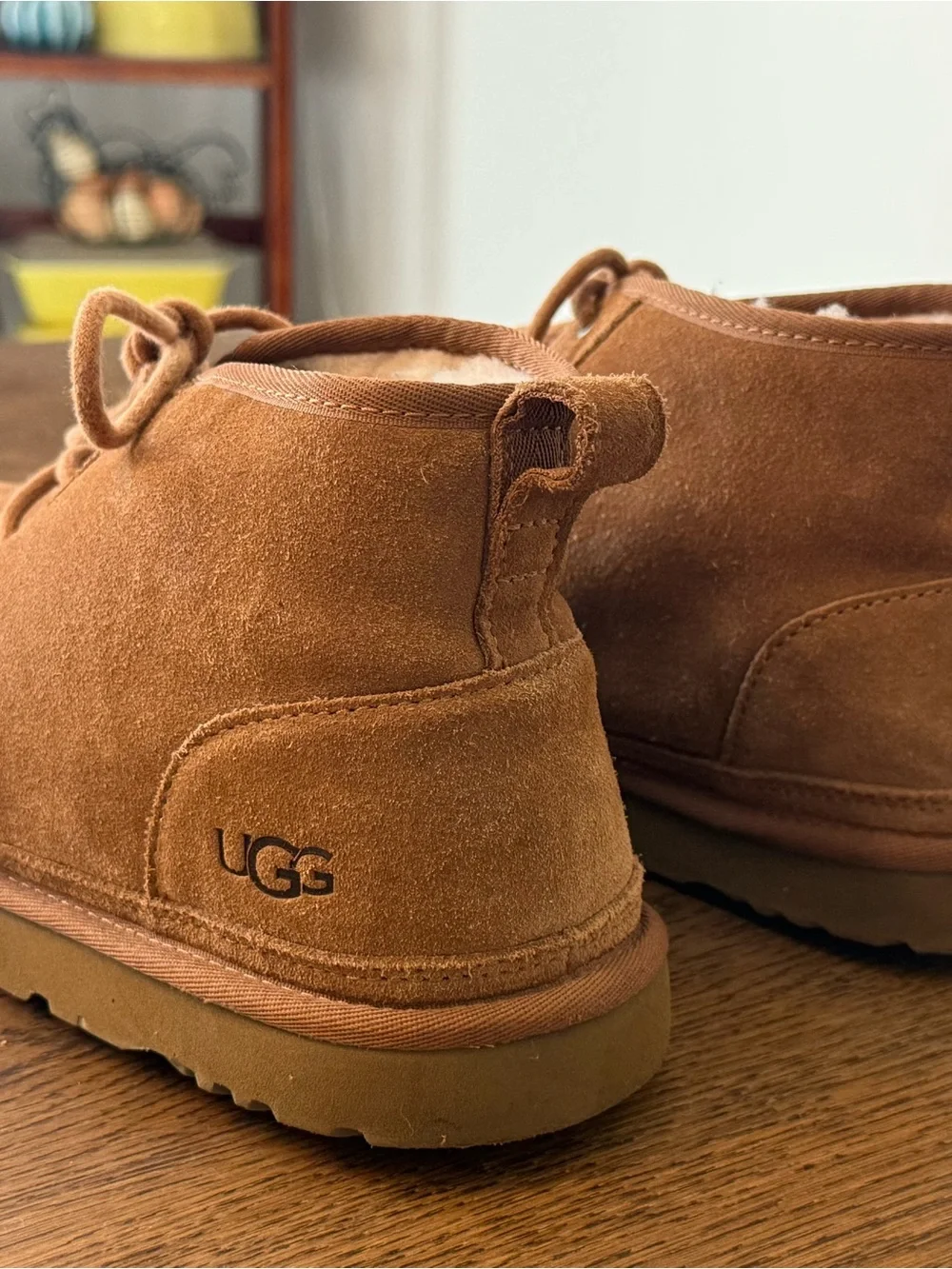 UGG men chukka